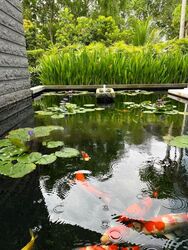 victoria-park photo thumbnail #1